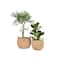 Hello Honey® Beige Round Woven Water Hyacinth Basket with Handles Set